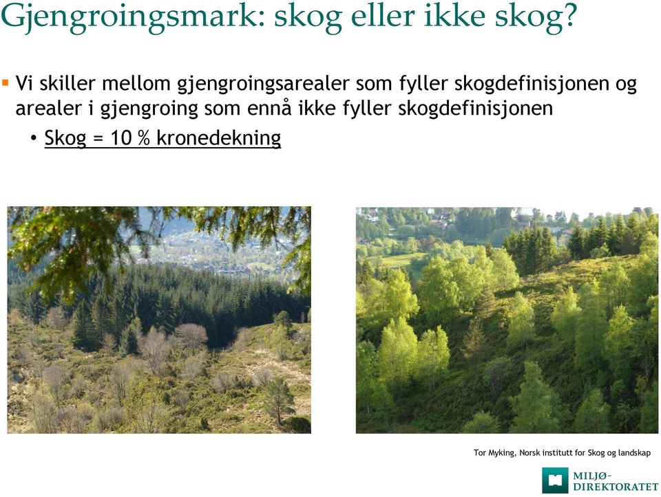 skogdefinisjonen og arealer i gjengroing som ennå ikke