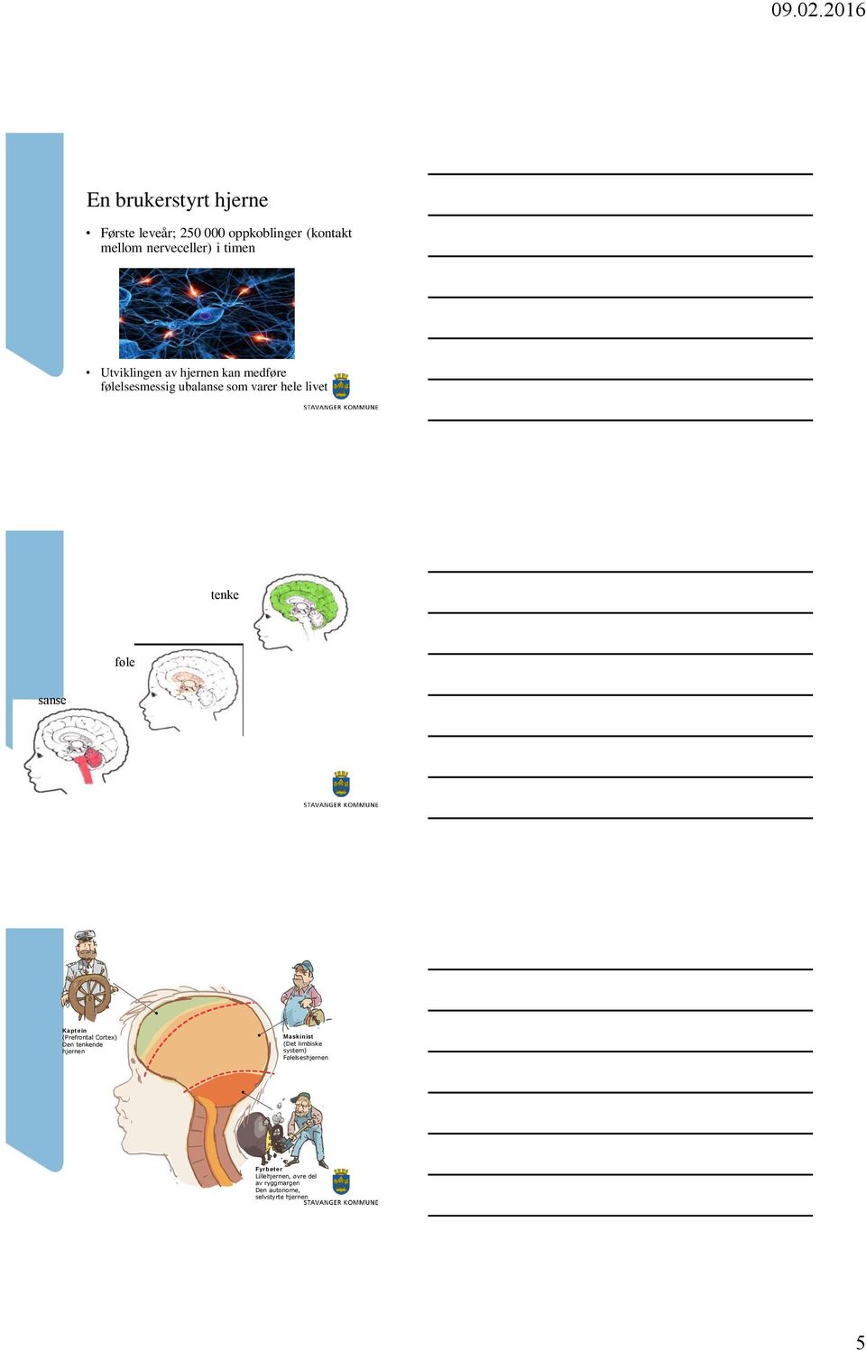 føle sanse Kaptein (Prefrontal Cortex) Den tenkende hjernen Maskinist (Det limbiske system)