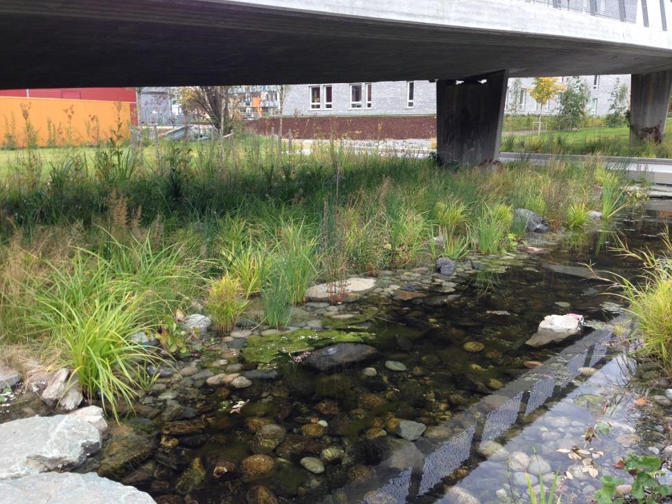 Strategi mål Oslo skal ha en overvannshåndtering som ved hjelp av åpne og lokale løsninger: Skader som følge av overvann og urban flom skal unngås Alt overvann