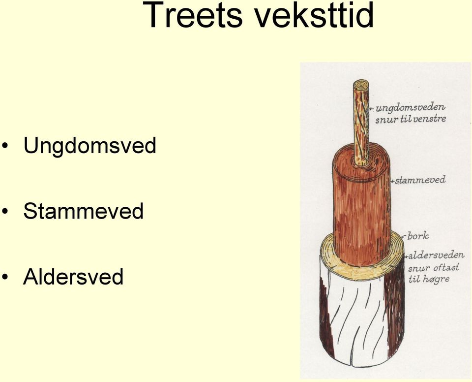 Ungdomsved