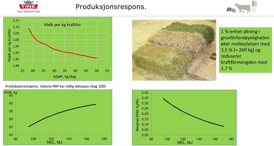 kg/dag  Voksne NRF kyr tidlig laktasjon (dag 100) EKM, kg 45 40 35 30 25 20 80 100 120 140 160 180 NEL, MJ Marginal