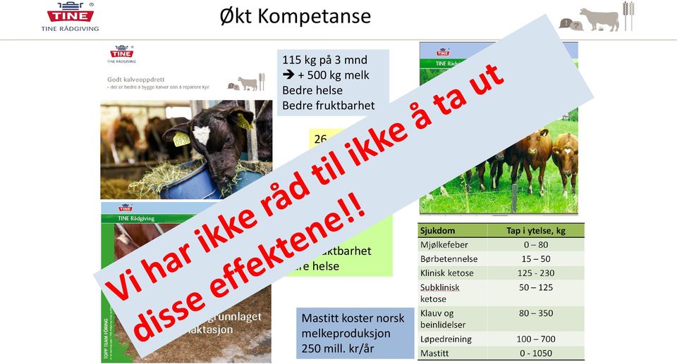 fruktbarhet Bedre helse Høyere ytelse + 750 kg Bedre