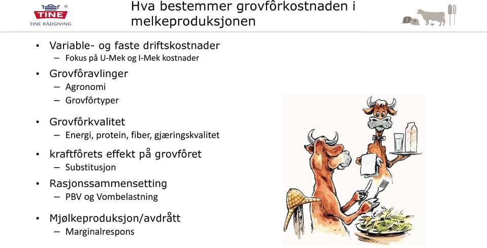 kraftfôrets effekt på grovfôret Substitusjon Rasjonssammensetting PBV og