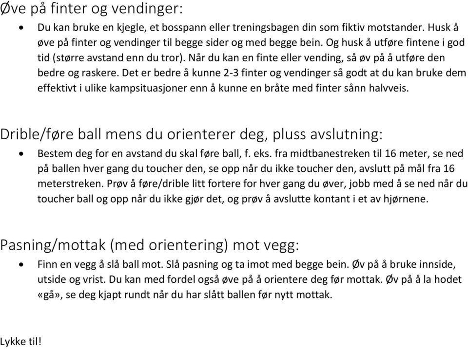 Det er bedre å kunne 2-3 finter og vendinger så godt at du kan bruke dem effektivt i ulike kampsituasjoner enn å kunne en bråte med finter sånn halvveis.