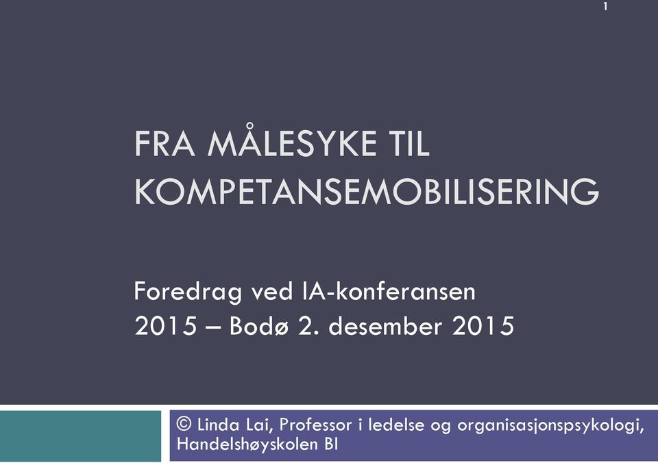 IA-konferansen 2015 Bodø 2.