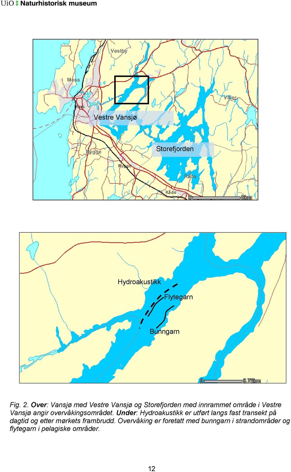 overvåkingsområdet.