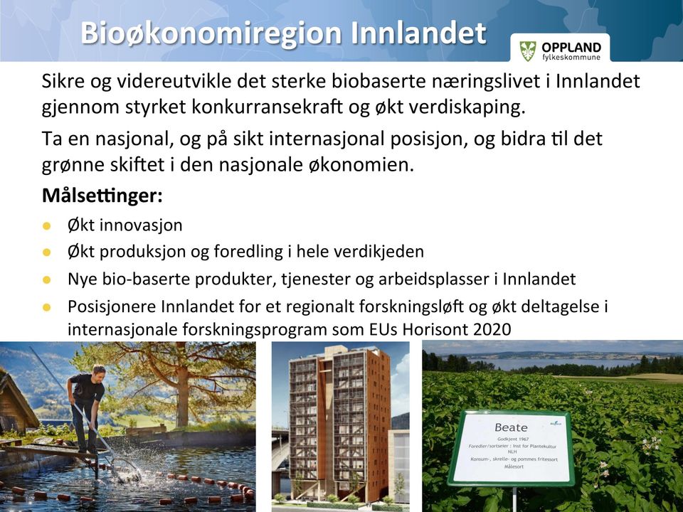 MålseHnger: Økt innovasjon Økt produksjon og foredling i hele verdikjeden Nye bio- baserte produkter, tjenester og arbeidsplasser i