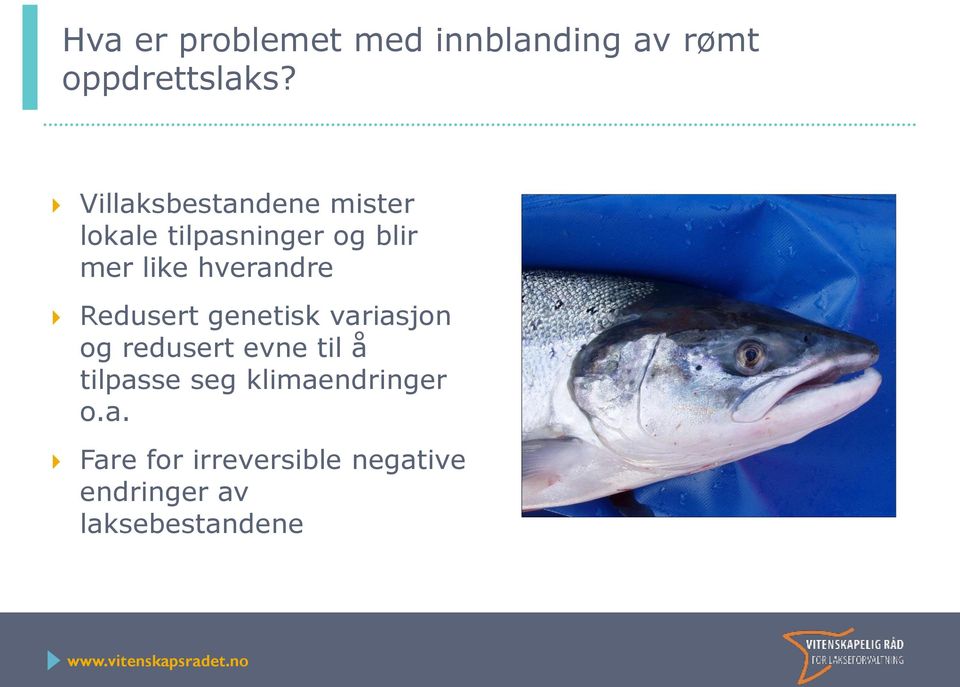 hverandre Redusert genetisk variasjon og redusert evne til å