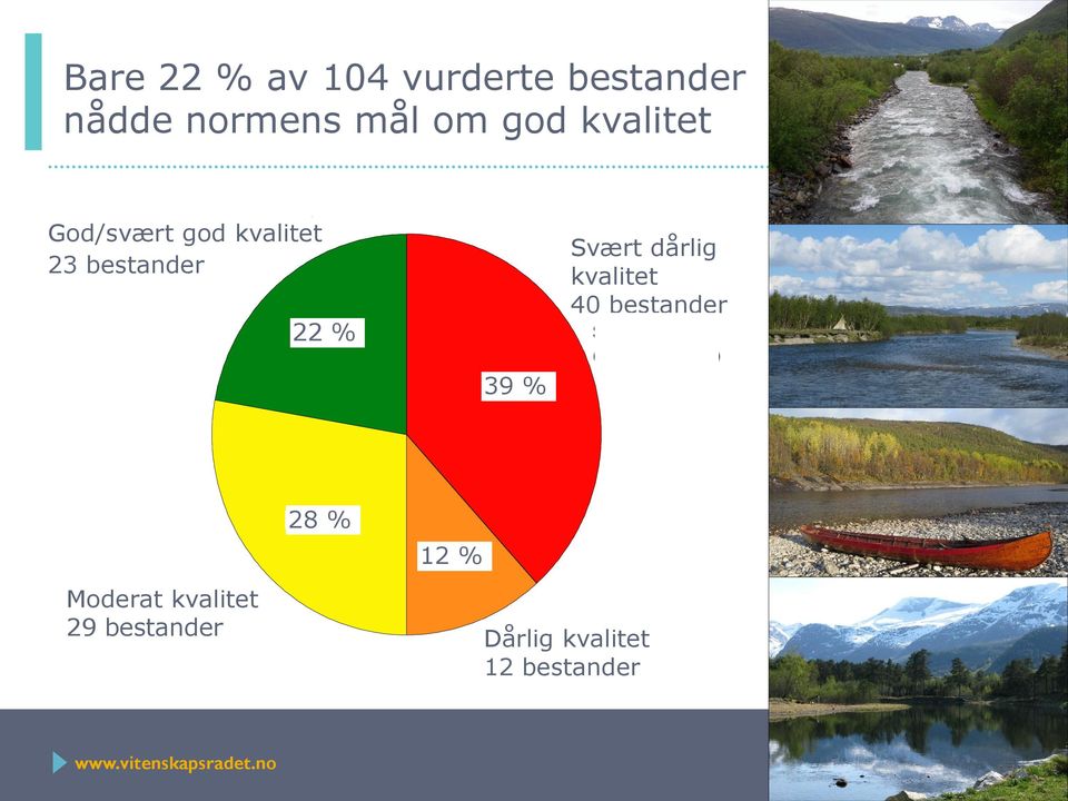 22 % 22,1% Svært dårlig (40 bestander) 3938,5% % Moderat kvalitet 29 bestander 27,9%