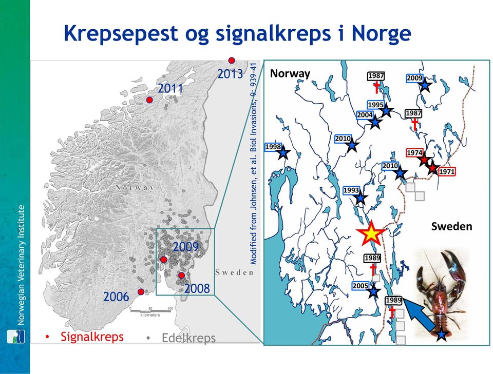 Biol Invasions; 9: 939-41 Norway 1998 2010 1993 1987