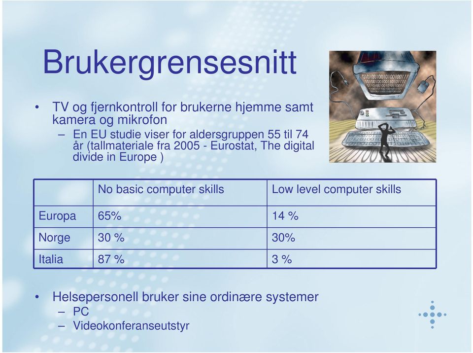 divide in Europe ) No basic computer skills Low level computer skills Europa 65% 14 % Norge
