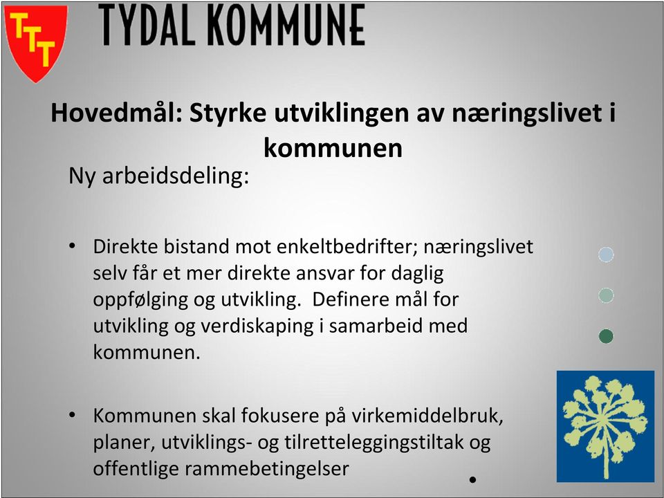 utvikling. Definere mål for utvikling og verdiskaping i samarbeid med kommunen.