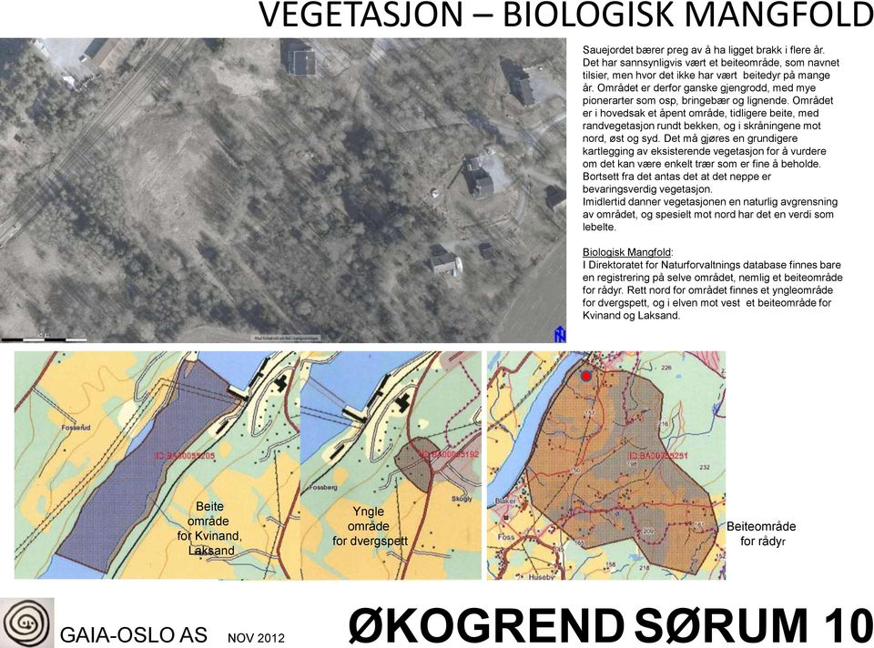 Området er i hovedsak et åpent område, tidligere beite, med randvegetasjon rundt bekken, og i skråningene mot nord, øst og syd.