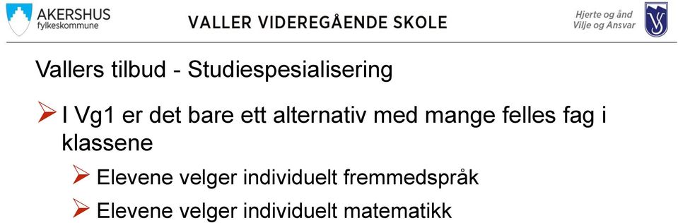 fag i klassene Elevene velger individuelt