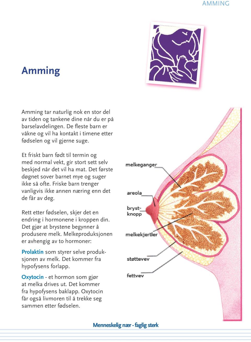 Friske barn trenger vanligvis ikke annen næring enn det de får av deg. Rett etter fødselen, skjer det en endring i hormonene i kroppen din. Det gjør at brystene begynner å produsere melk.