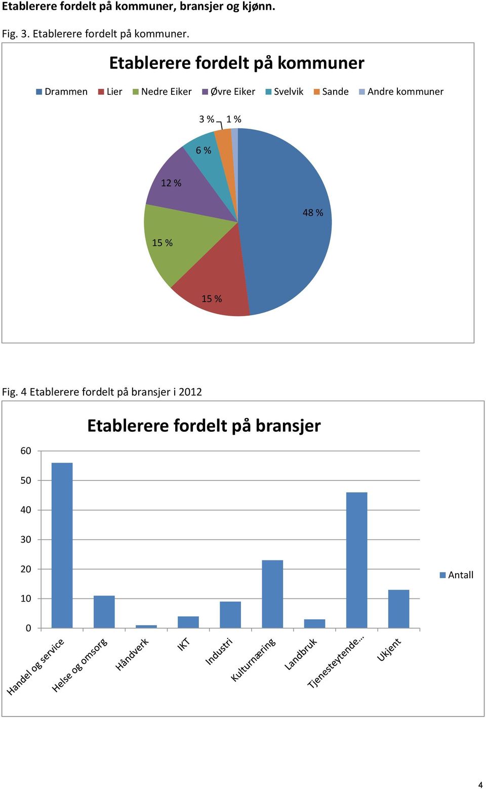 Etablerere fordelt på kommuner Drammen Lier Nedre Eiker Øvre Eiker Svelvik Sande