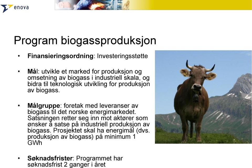 Målgruppe: foretak med leveranser av biogass til det norske energimarkedet.