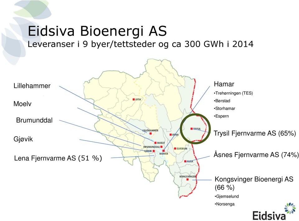 Trehørningen (TES) Børstad Storhamar Espern Trysil Fjernvarme AS (65%)