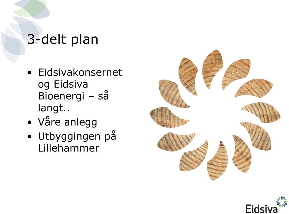 Eidsiva Bioenergi så