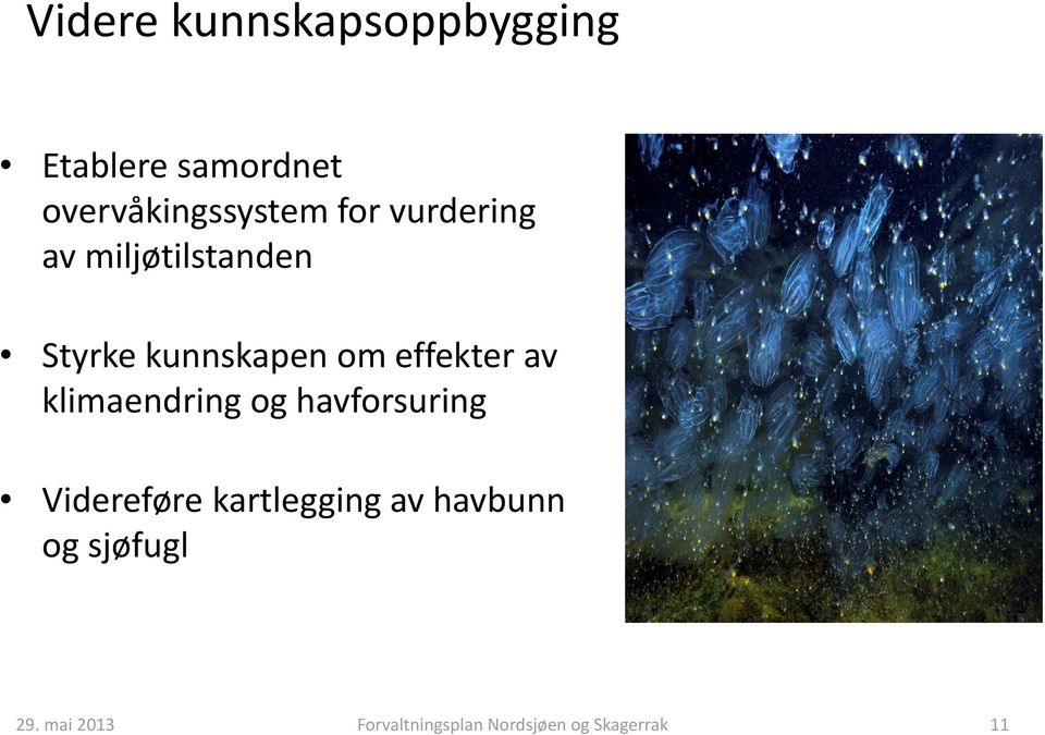 av klimaendring og havforsuring Videreføre kartlegging av