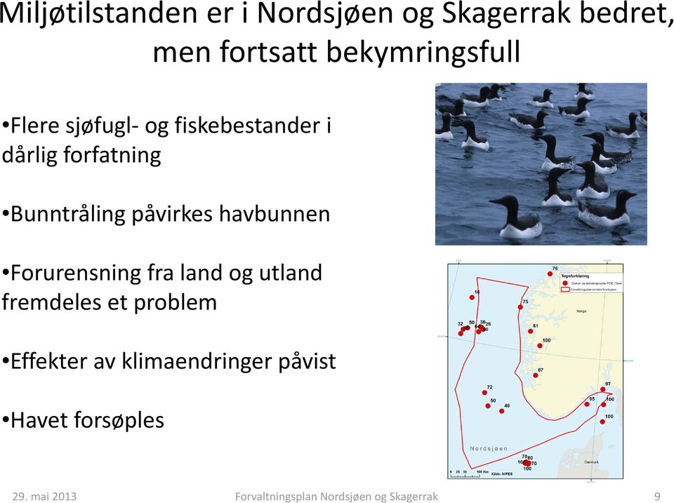 havbunnen Forurensning fra land og utland fremdeles et problem Effekter av