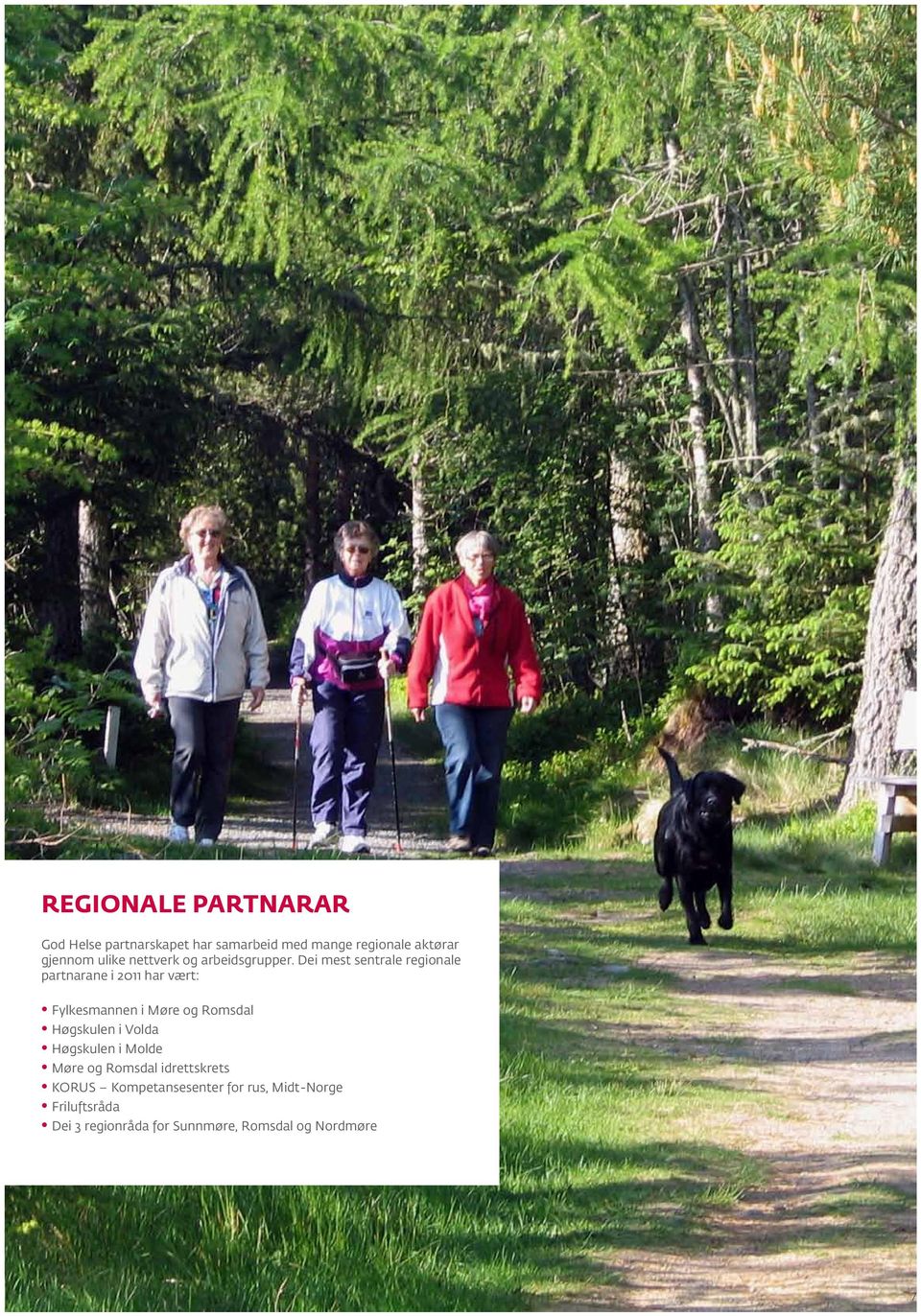 Dei mest sentrale regionale partnarane i 2011 har vært: Fylkesmannen i Møre og Romsdal Høgskulen