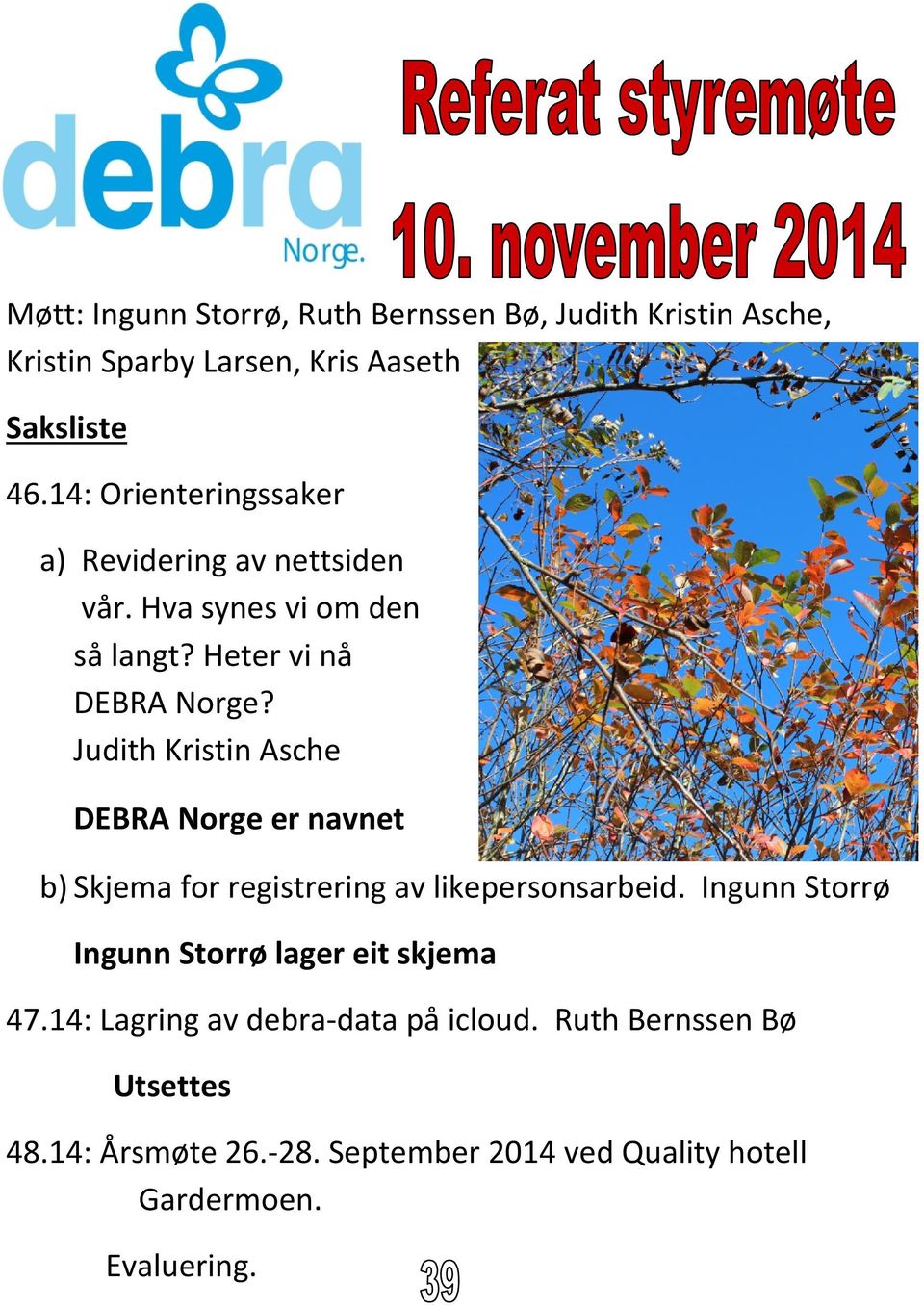Judith Kristin Asche DEBRA Norge er navnet b) Skjema for registrering av likepersonsarbeid.