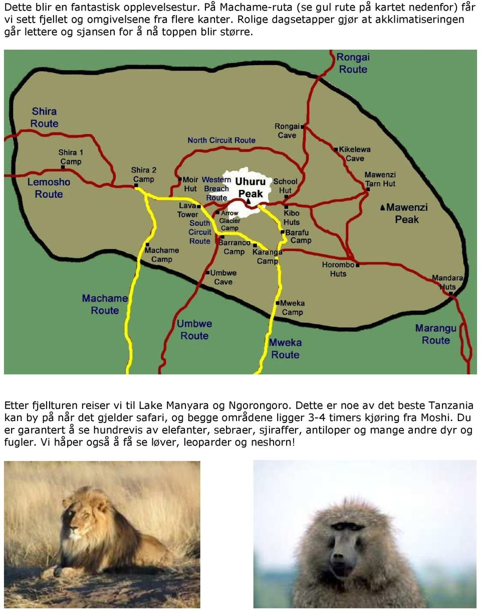 Etter fjellturen reiser vi til Lake Manyara og Ngorongoro.