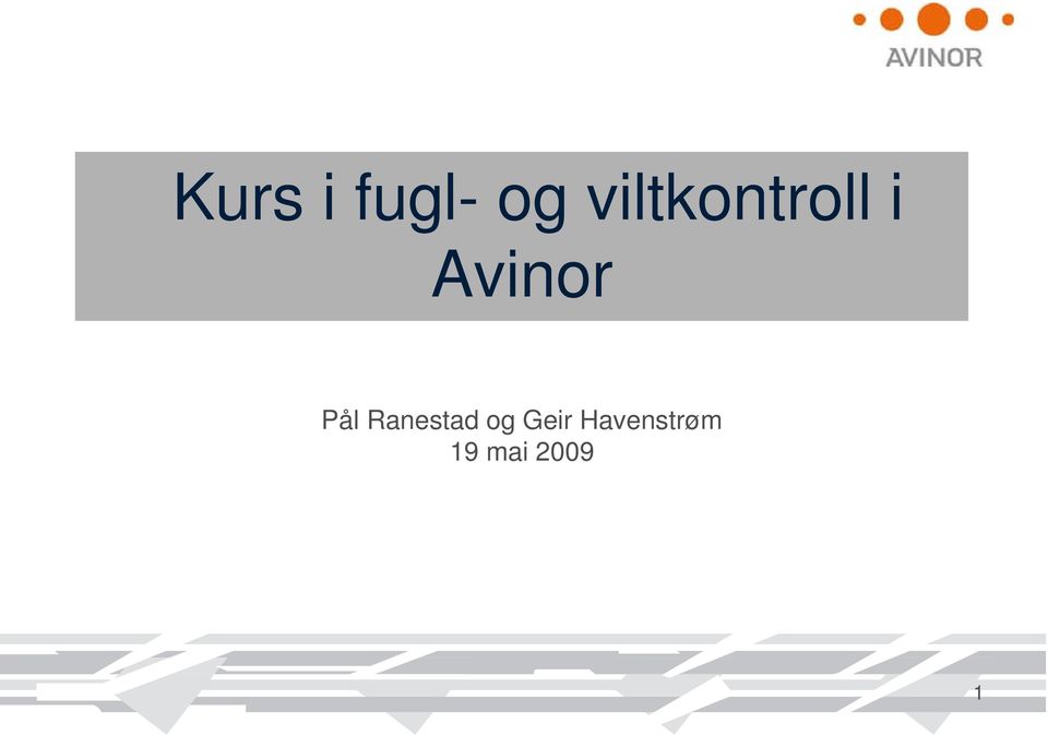 Avinor Pål Ranestad