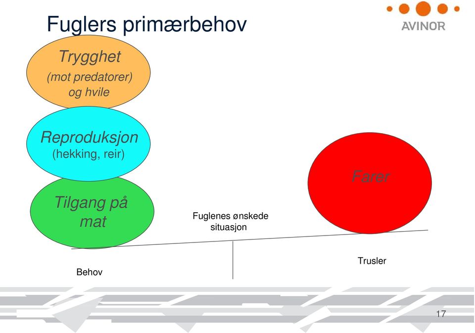 (hekking, reir) Tilgang på mat