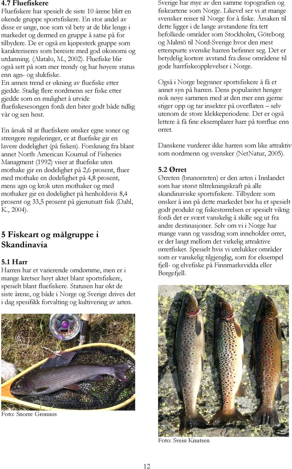 De er også en kjøpesterk gruppe som karakteriseres som bereiste med god økonomi og utdanning. (Alatalo, M., 2002).