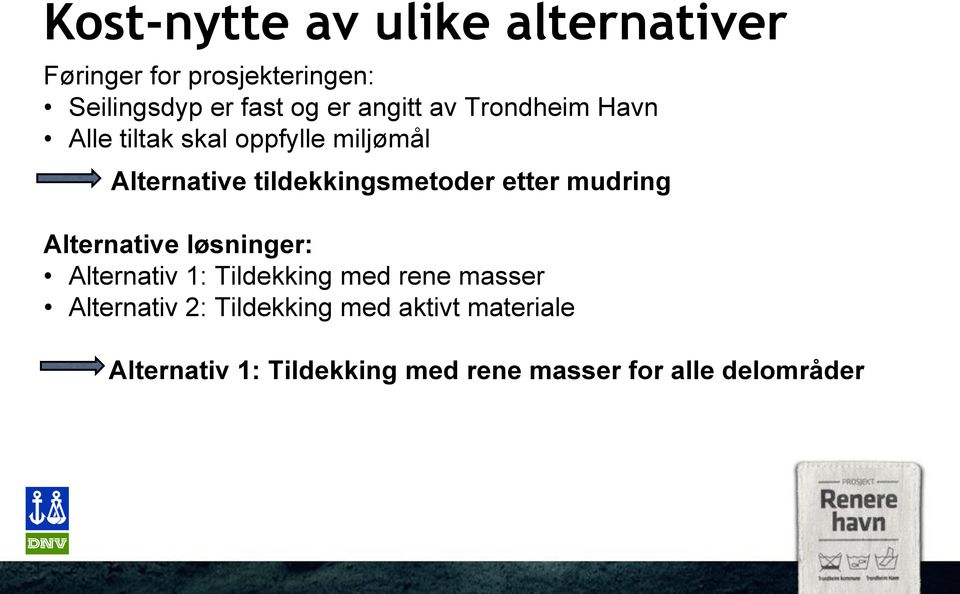 etter mudring Alternative løsninger: Alternativ 1: Tildekking med rene masser Alternativ