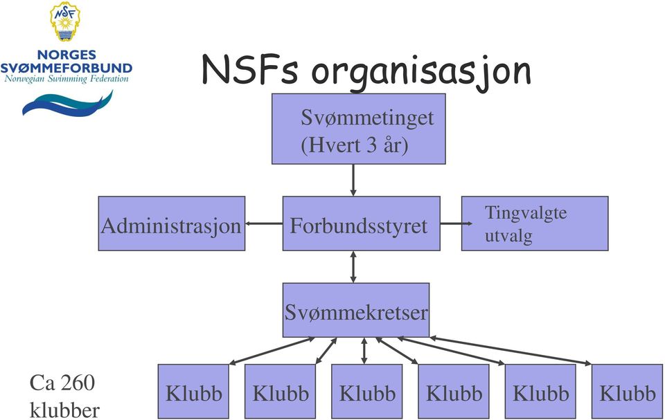 Tingvalgte utvalg Svømmekretser Ca 260