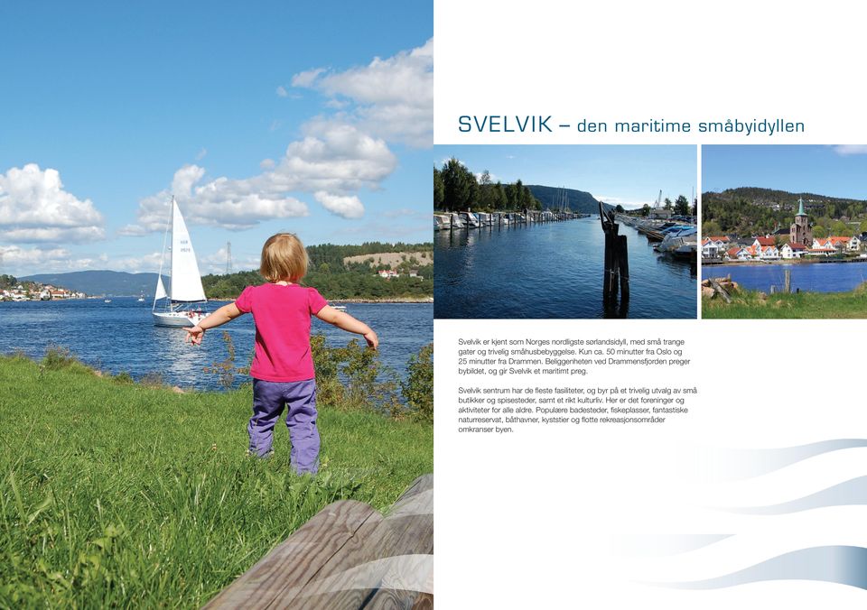 Svelvik sentrum har de fleste fasiliteter, og byr på et trivelig utvalg av små butikker og spisesteder, samt et rikt kulturliv.