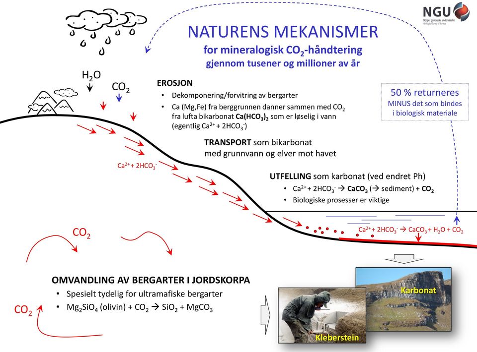 bikarbonat med grunnvann og elver mot havet Ca 2+ + 2HCO 3 - UTFELLING som karbonat (ved endret Ph) Ca 2+ + 2HCO 3- CaCO 3 ( sediment) + CO 2 Biologiske prosesser er viktige CO 2