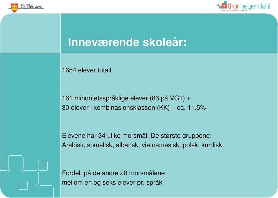 5% Elevene har 34 ulike morsmål.