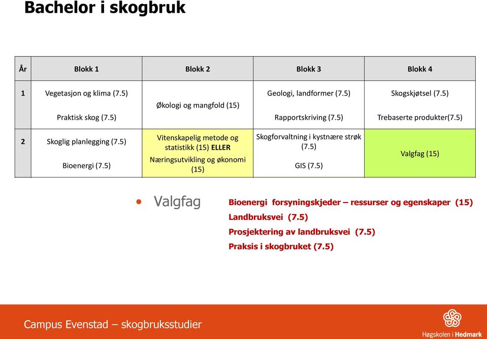 5) Næringsutvikling og økonomi Bioenergi (7.5) (15) GIS (7.5) Valgfag (15) 3 Areal- og kulturminneforvaltning (15) Driftsteknikk (7.5) Valgfag Logistikk (7.