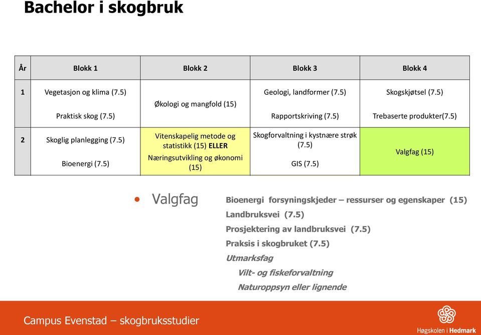 5) Næringsutvikling og økonomi Bioenergi (7.5) (15) GIS (7.5) Valgfag (15) 3 Areal- og kulturminneforvaltning (15) Driftsteknikk (7.5) Valgfag Logistikk (7.