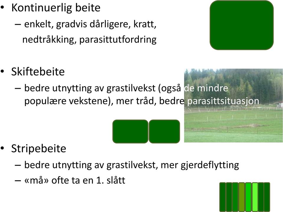 mindre populære vekstene), mer tråd, bedre parasittsituasjon