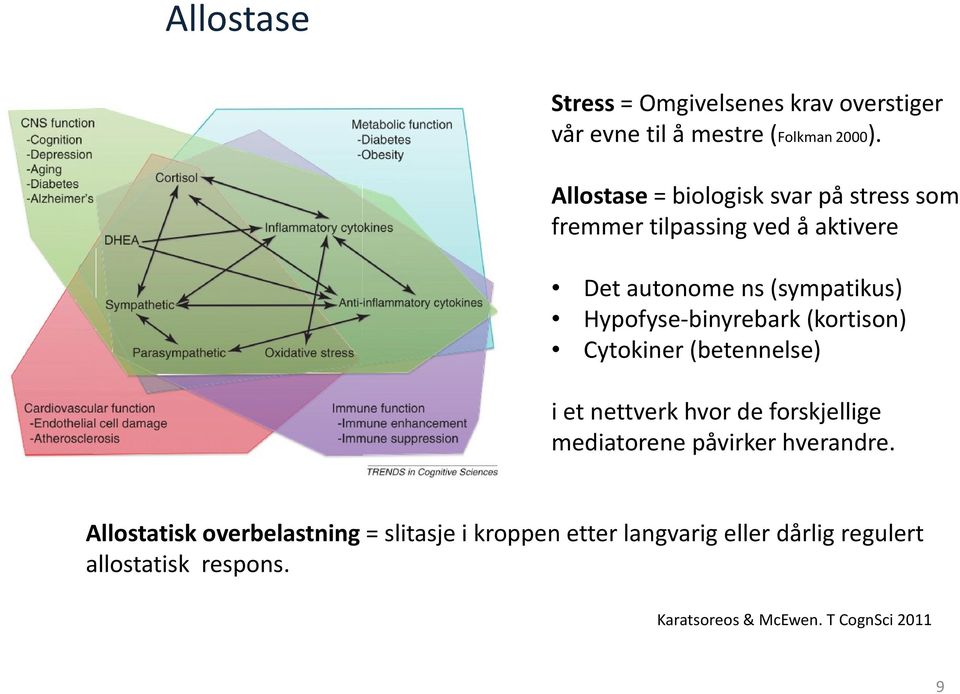 Hypofyse-binyrebark (kortison) Cytokiner (betennelse) i et nettverk hvor de forskjellige mediatorene påvirker