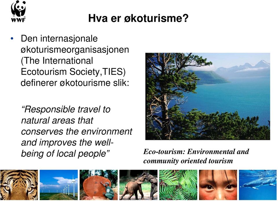 Responsible travel to natural areas that conserves the environment and