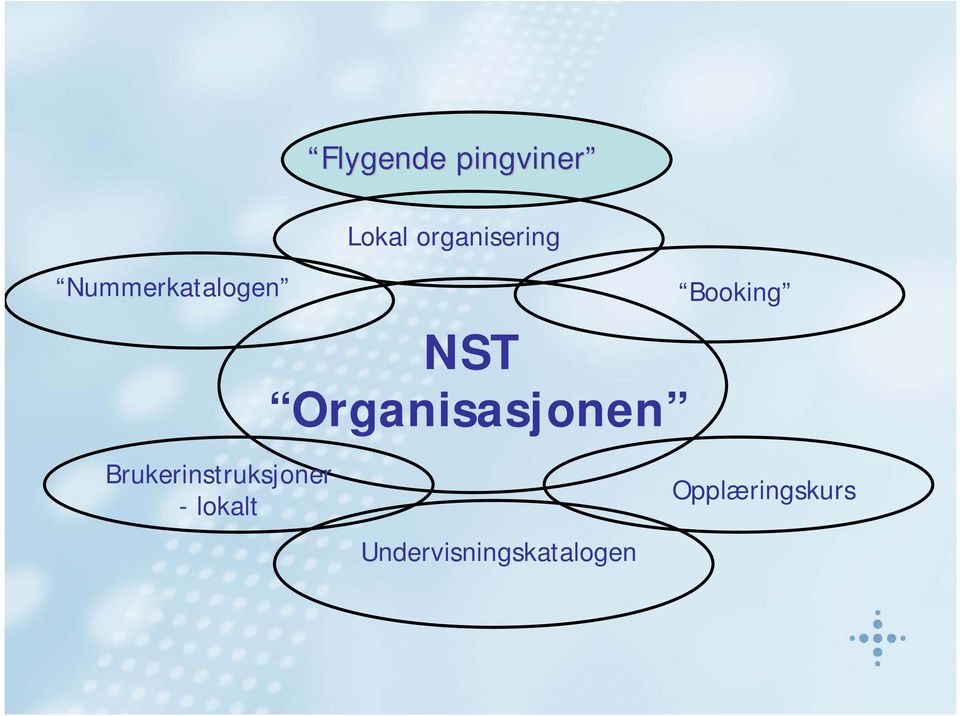 NST Organisasjonen