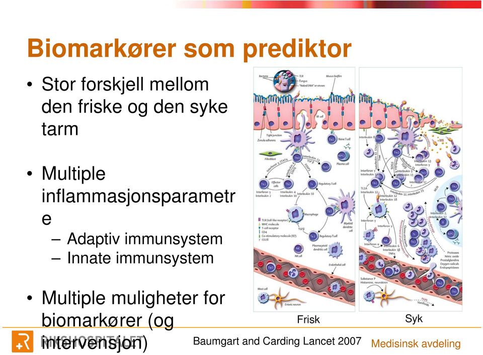 immunsystem Innate immunsystem Multiple muligheter for