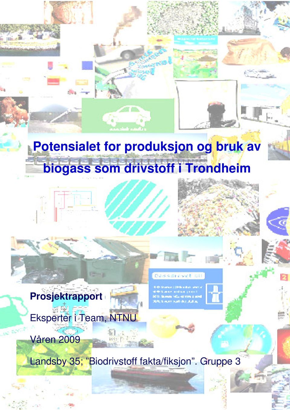 Prosjektrapport Eksperter i Team, NTNU