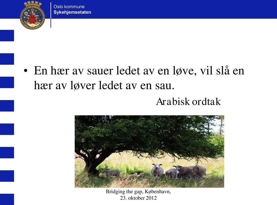 hær av løver ledet av