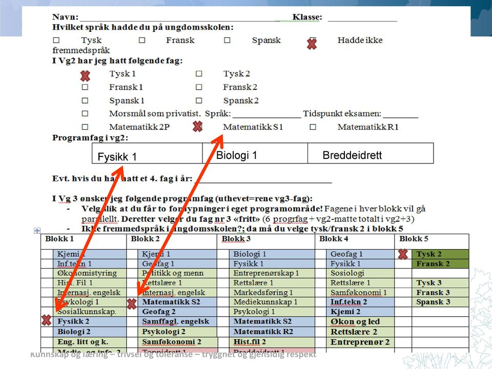 Hvis du velger å ha R1/S1 som den ene fordypningen, kan du i vg2 ha 2 frie valg.