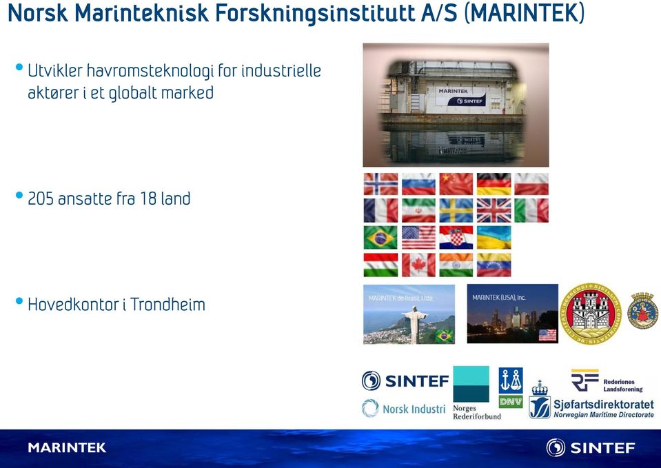 industrielle aktører i et globalt marked