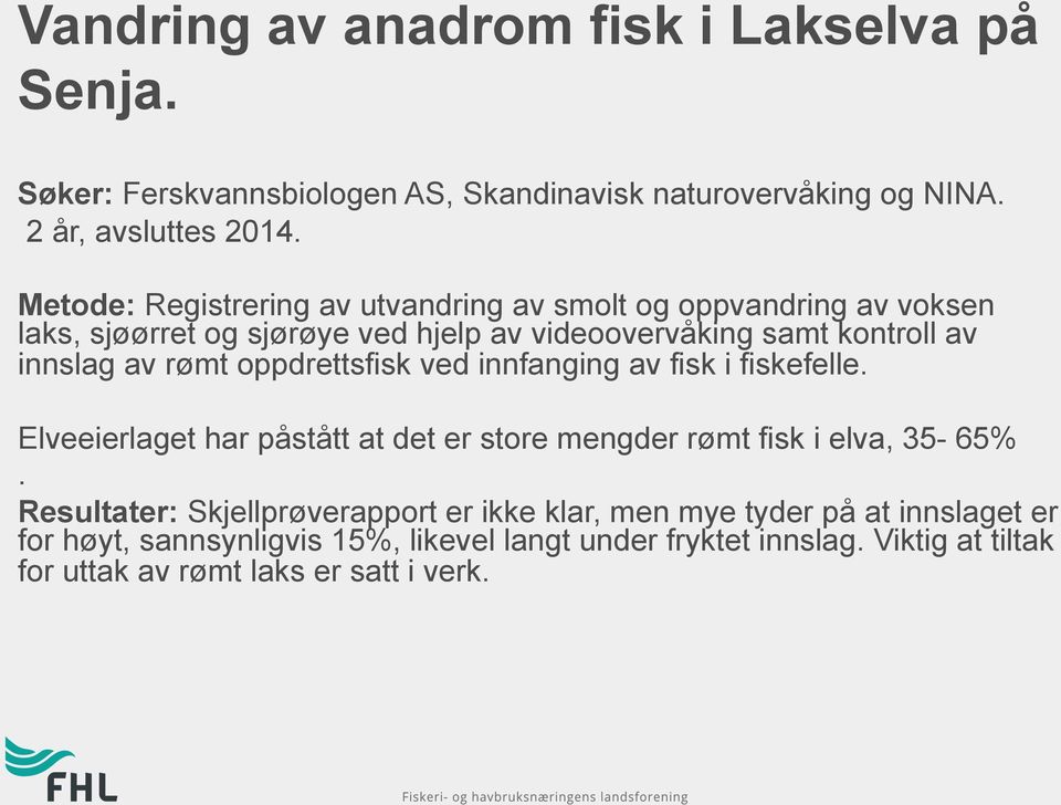 rømt oppdrettsfisk ved innfanging av fisk i fiskefelle. Elveeierlaget har påstått at det er store mengder rømt fisk i elva, 35-65%.