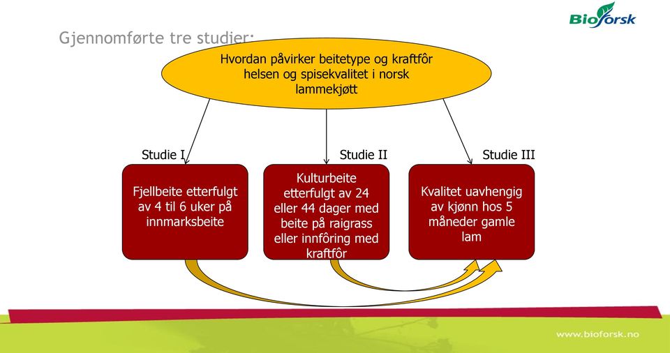 innmarksbeite Studie II Kulturbeite etterfulgt av 24 eller 44 dager med beite på