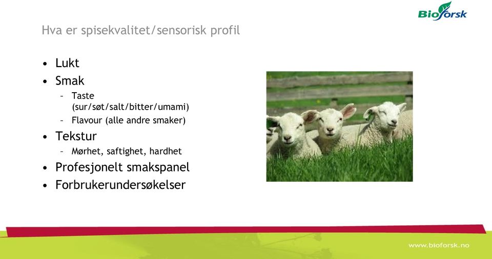 andre smaker) Tekstur Mørhet, saftighet,